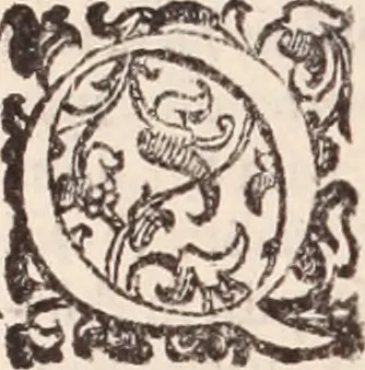 An illustration from De animalibus insectis libri septem : cum singulorum iconibus ad viuum expressis / autore Ulysse Aldrovando ... ; ad sereniss: Franc. Mariam Secundum ..., 1602, leaf 441