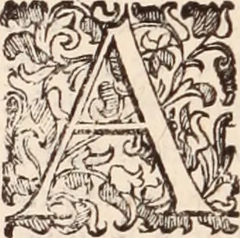 An illustration from De animalibus insectis libri septem : cum singulorum iconibus ad viuum expressis / autore Ulysse Aldrovando ... ; ad sereniss: Franc. Mariam Secundum ..., 1602, leaf 449