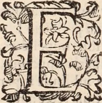 An illustration from De animalibus insectis libri septem : cum singulorum iconibus ad viuum expressis / autore Ulysse Aldrovando ... ; ad sereniss: Franc. Mariam Secundum ..., 1602, leaf 449