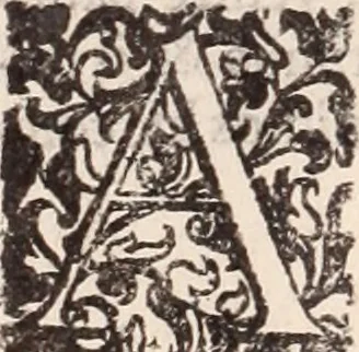 An illustration from De animalibus insectis libri septem : cum singulorum iconibus ad viuum expressis / autore Ulysse Aldrovando ... ; ad sereniss: Franc. Mariam Secundum ..., 1602, leaf 471