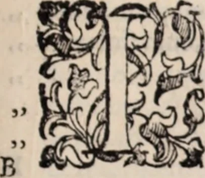 An illustration from De animalibus insectis libri septem : cum singulorum iconibus ad viuum expressis / autore Ulysse Aldrovando ... ; ad sereniss: Franc. Mariam Secundum ..., 1602, leaf 476