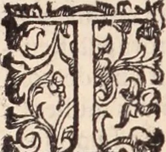 An illustration from De animalibus insectis libri septem : cum singulorum iconibus ad viuum expressis / autore Ulysse Aldrovando ... ; ad sereniss: Franc. Mariam Secundum ..., 1602, leaf 493