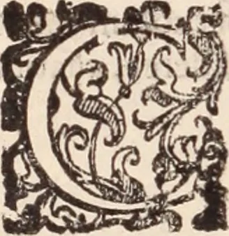 An illustration from De animalibus insectis libri septem : cum singulorum iconibus ad viuum expressis / autore Ulysse Aldrovando ... ; ad sereniss: Franc. Mariam Secundum ..., 1602, leaf 493