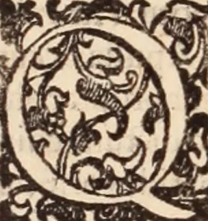 An illustration from De animalibus insectis libri septem : cum singulorum iconibus ad viuum expressis / autore Ulysse Aldrovando ... ; ad sereniss: Franc. Mariam Secundum ..., 1602, leaf 497