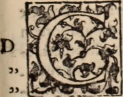 An illustration from De animalibus insectis libri septem : cum singulorum iconibus ad viuum expressis / autore Ulysse Aldrovando ... ; ad sereniss: Franc. Mariam Secundum ..., 1602, leaf 506