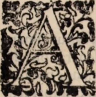 An illustration from De animalibus insectis libri septem : cum singulorum iconibus ad viuum expressis / autore Ulysse Aldrovando ... ; ad sereniss: Franc. Mariam Secundum ..., 1602, leaf 508