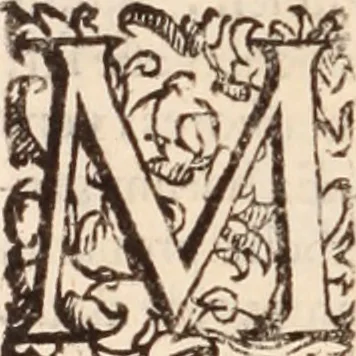 An illustration from De animalibus insectis libri septem : cum singulorum iconibus ad viuum expressis / autore Ulysse Aldrovando ... ; ad sereniss: Franc. Mariam Secundum ..., 1602, leaf 511