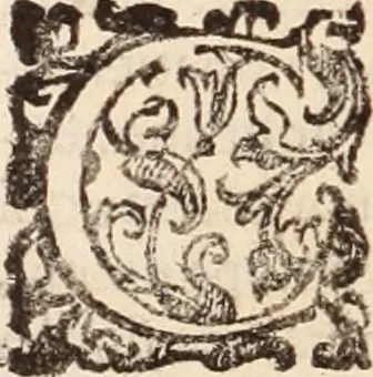 An illustration from De animalibus insectis libri septem : cum singulorum iconibus ad viuum expressis / autore Ulysse Aldrovando ... ; ad sereniss: Franc. Mariam Secundum ..., 1602, leaf 511