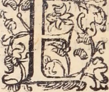 An illustration from De animalibus insectis libri septem : cum singulorum iconibus ad viuum expressis / autore Ulysse Aldrovando ... ; ad sereniss: Franc. Mariam Secundum ..., 1602, leaf 519