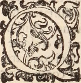 An illustration from De animalibus insectis libri septem : cum singulorum iconibus ad viuum expressis / autore Ulysse Aldrovando ... ; ad sereniss: Franc. Mariam Secundum ..., 1602, leaf 533