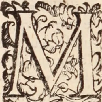 An illustration from De animalibus insectis libri septem : cum singulorum iconibus ad viuum expressis / autore Ulysse Aldrovando ... ; ad sereniss: Franc. Mariam Secundum ..., 1602, leaf 539