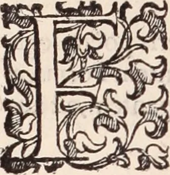 An illustration from De animalibus insectis libri septem : cum singulorum iconibus ad viuum expressis / autore Ulysse Aldrovando ... ; ad sereniss: Franc. Mariam Secundum ..., 1602, leaf 545