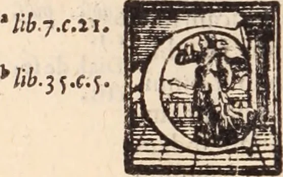 An illustration from De animalibus insectis libri septem : cum singulorum iconibus ad viuum expressis / autore Ulysse Aldrovando ... ; ad sereniss: Franc. Mariam Secundum ..., 1602, leaf 547