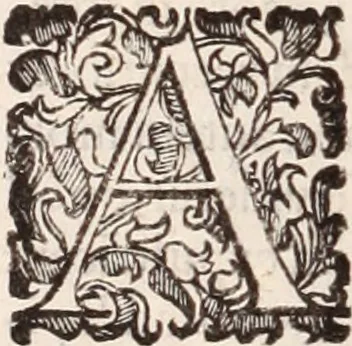 An illustration from De animalibus insectis libri septem : cum singulorum iconibus ad viuum expressis / autore Ulysse Aldrovando ... ; ad sereniss: Franc. Mariam Secundum ..., 1602, leaf 555
