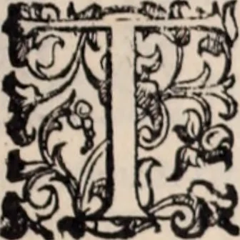 An illustration from De animalibus insectis libri septem : cum singulorum iconibus ad viuum expressis / autore Ulysse Aldrovando ... ; ad sereniss: Franc. Mariam Secundum ..., 1602, leaf 556