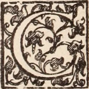 An illustration from De animalibus insectis libri septem : cum singulorum iconibus ad viuum expressis / autore Ulysse Aldrovando ... ; ad sereniss: Franc. Mariam Secundum ..., 1602, leaf 557