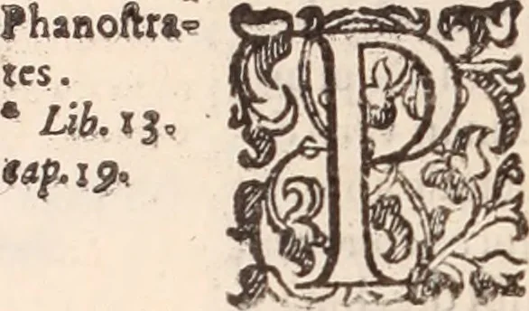 An illustration from De animalibus insectis libri septem : cum singulorum iconibus ad viuum expressis / autore Ulysse Aldrovando ... ; ad sereniss: Franc. Mariam Secundum ..., 1602, leaf 573