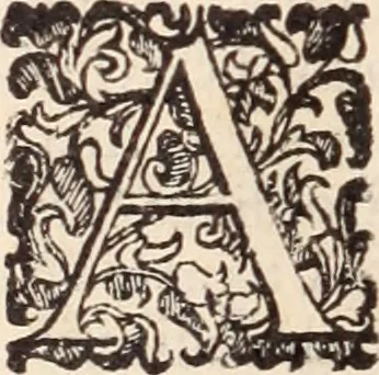An illustration from De animalibus insectis libri septem : cum singulorum iconibus ad viuum expressis / autore Ulysse Aldrovando ... ; ad sereniss: Franc. Mariam Secundum ..., 1602, leaf 575