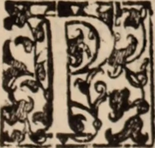 An illustration from De animalibus insectis libri septem : cum singulorum iconibus ad viuum expressis / autore Ulysse Aldrovando ... ; ad sereniss: Franc. Mariam Secundum ..., 1602, leaf 578