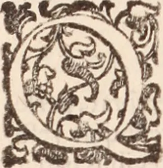 An illustration from De animalibus insectis libri septem : cum singulorum iconibus ad viuum expressis / autore Ulysse Aldrovando ... ; ad sereniss: Franc. Mariam Secundum ..., 1602, leaf 581