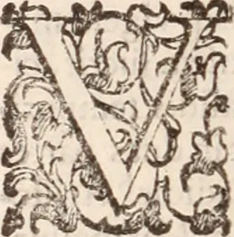 An illustration from De animalibus insectis libri septem : cum singulorum iconibus ad viuum expressis / autore Ulysse Aldrovando ... ; ad sereniss: Franc. Mariam Secundum ..., 1602, leaf 581
