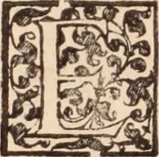 An illustration from De animalibus insectis libri septem : cum singulorum iconibus ad viuum expressis / autore Ulysse Aldrovando ... ; ad sereniss: Franc. Mariam Secundum ..., 1602, leaf 585