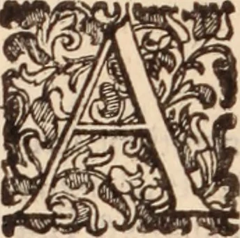 An illustration from De animalibus insectis libri septem : cum singulorum iconibus ad viuum expressis / autore Ulysse Aldrovando ... ; ad sereniss: Franc. Mariam Secundum ..., 1602, leaf 631