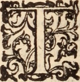 An illustration from De animalibus insectis libri septem : cum singulorum iconibus ad viuum expressis / autore Ulysse Aldrovando ... ; ad sereniss: Franc. Mariam Secundum ..., 1602, leaf 631