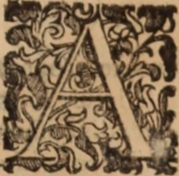 An illustration from De animalibus insectis libri septem : cum singulorum iconibus ad viuum expressis / autore Ulysse Aldrovando ... ; ad sereniss: Franc. Mariam Secundum ..., 1602, leaf 640