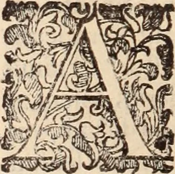 An illustration from De animalibus insectis libri septem : cum singulorum iconibus ad viuum expressis / autore Ulysse Aldrovando ... ; ad sereniss: Franc. Mariam Secundum ..., 1602, leaf 659