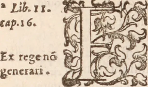 An illustration from De animalibus insectis libri septem : cum singulorum iconibus ad viuum expressis / autore Ulysse Aldrovando ... ; ad sereniss: Franc. Mariam Secundum ..., 1602, leaf 69