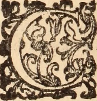 An illustration from De animalibus insectis libri septem : cum singulorum iconibus ad viuum expressis / autore Ulysse Aldrovando ... ; ad sereniss: Franc. Mariam Secundum ..., 1602, leaf 705