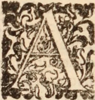 An illustration from De animalibus insectis libri septem : cum singulorum iconibus ad viuum expressis / autore Ulysse Aldrovando ... ; ad sereniss: Franc. Mariam Secundum ..., 1602, leaf 707