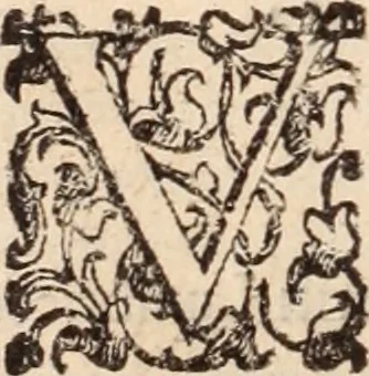An illustration from De animalibus insectis libri septem : cum singulorum iconibus ad viuum expressis / autore Ulysse Aldrovando ... ; ad sereniss: Franc. Mariam Secundum ..., 1602, leaf 709