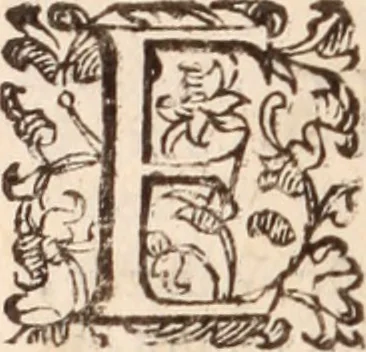 An illustration from De animalibus insectis libri septem : cum singulorum iconibus ad viuum expressis / autore Ulysse Aldrovando ... ; ad sereniss: Franc. Mariam Secundum ..., 1602, leaf 713