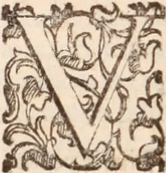 An illustration from De animalibus insectis libri septem : cum singulorum iconibus ad viuum expressis / autore Ulysse Aldrovando ... ; ad sereniss: Franc. Mariam Secundum ..., 1602, leaf 715