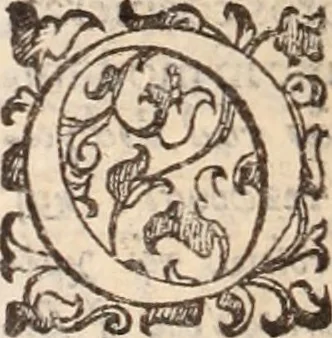 An illustration from De animalibus insectis libri septem : cum singulorum iconibus ad viuum expressis / autore Ulysse Aldrovando ... ; ad sereniss: Franc. Mariam Secundum ..., 1602, leaf 715