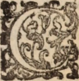 An illustration from De animalibus insectis libri septem : cum singulorum iconibus ad viuum expressis / autore Ulysse Aldrovando ... ; ad sereniss: Franc. Mariam Secundum ..., 1602, leaf 726
