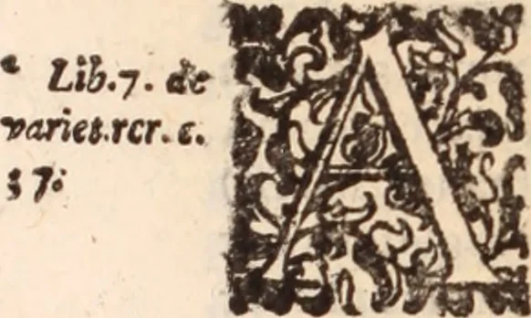 An illustration from De animalibus insectis libri septem : cum singulorum iconibus ad viuum expressis / autore Ulysse Aldrovando ... ; ad sereniss: Franc. Mariam Secundum ..., 1602, leaf 735