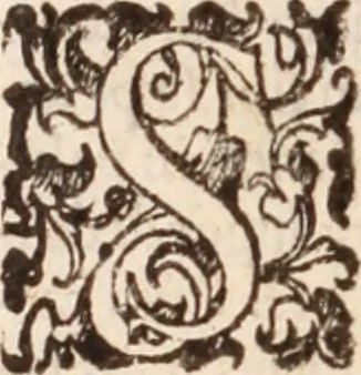 An illustration from De animalibus insectis libri septem : cum singulorum iconibus ad viuum expressis / autore Ulysse Aldrovando ... ; ad sereniss: Franc. Mariam Secundum ..., 1602, leaf 739
