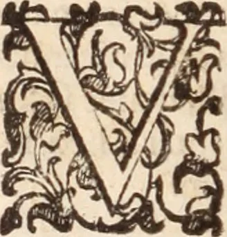 An illustration from De animalibus insectis libri septem : cum singulorum iconibus ad viuum expressis / autore Ulysse Aldrovando ... ; ad sereniss: Franc. Mariam Secundum ..., 1602, leaf 739