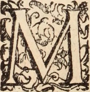 An illustration from De animalibus insectis libri septem : cum singulorum iconibus ad viuum expressis / autore Ulysse Aldrovando ... ; ad sereniss: Franc. Mariam Secundum ..., 1602, leaf 749