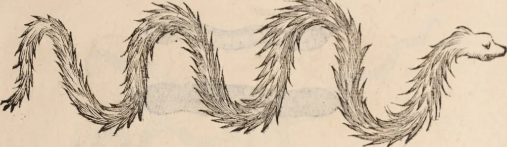 An illustration from De animalibus insectis libri septem : cum singulorum iconibus ad viuum expressis / autore Ulysse Aldrovando ... ; ad sereniss: Franc. Mariam Secundum ..., 1602, leaf 780
