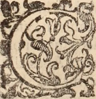 An illustration from De animalibus insectis libri septem : cum singulorum iconibus ad viuum expressis / autore Ulysse Aldrovando ... ; ad sereniss: Franc. Mariam Secundum ..., 1602, leaf 99