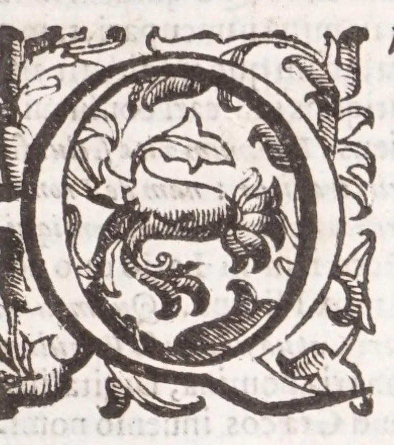 An illustration from De anulis antiquis librum singularem : in quo diligenter explicantur eorum nomina multa, primęua origo, materia multiplex, figurae complures, causa efficiens, fines, vsusve plurimi, differentiae ..., 1645, leaf 17