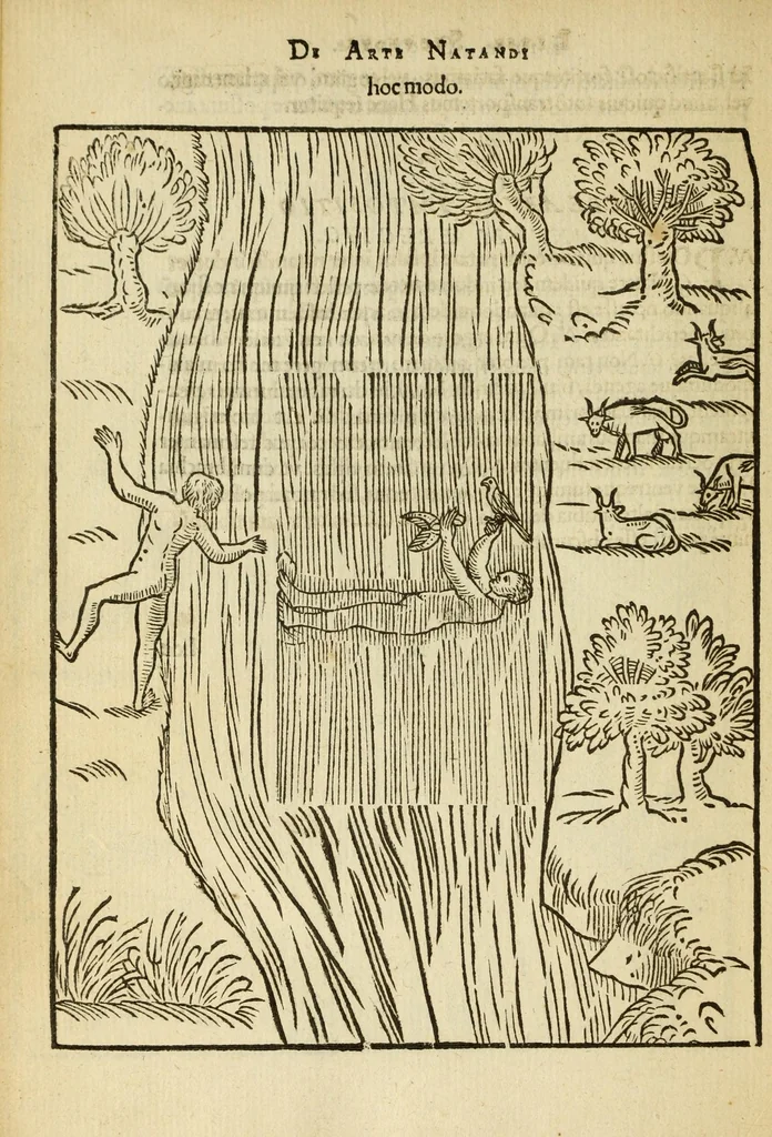 An illustration from De arte natandi libri duo : quorum prior regulas ipsius artis, posterior vero praxin demonstrationemque continet, 1587, leaf 104