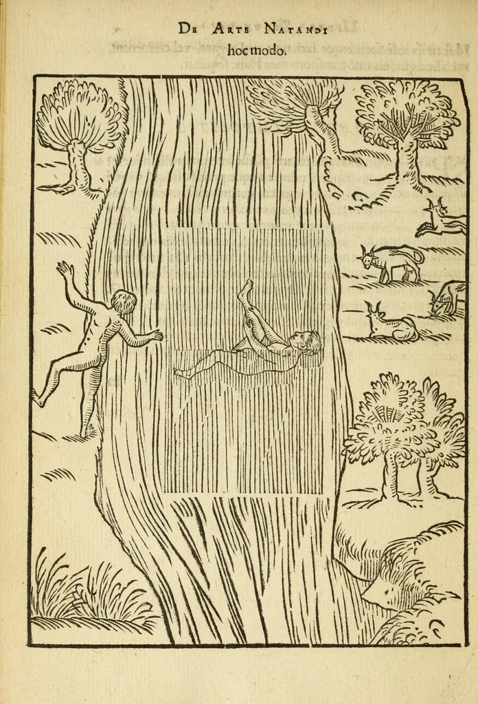 An illustration from De arte natandi libri duo : quorum prior regulas ipsius artis, posterior vero praxin demonstrationemque continet, 1587, leaf 106