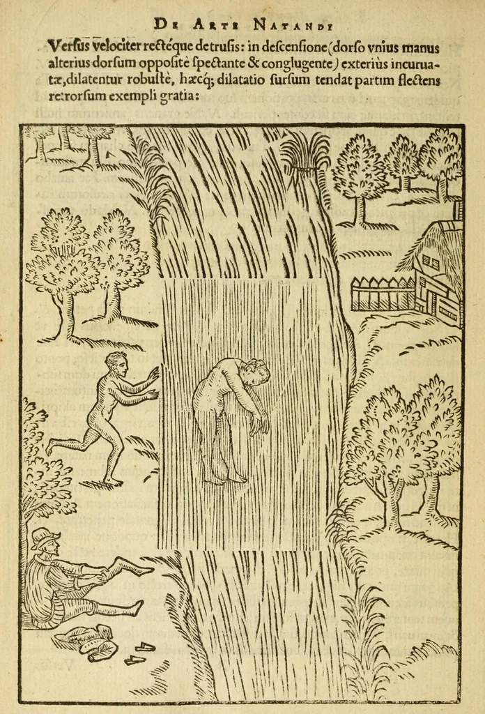 An illustration from De arte natandi libri duo : quorum prior regulas ipsius artis, posterior vero praxin demonstrationemque continet, 1587, leaf 110