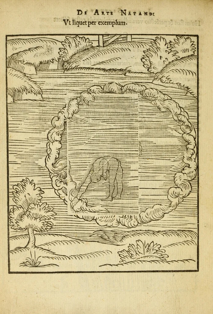An illustration from De arte natandi libri duo : quorum prior regulas ipsius artis, posterior vero praxin demonstrationemque continet, 1587, leaf 118