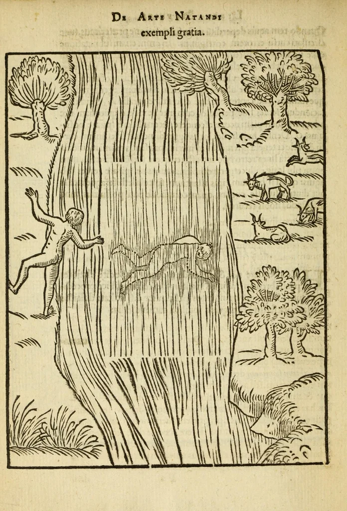 An illustration from De arte natandi libri duo : quorum prior regulas ipsius artis, posterior vero praxin demonstrationemque continet, 1587, leaf 120